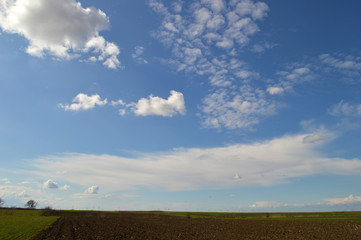 Clouds gathering in the sky