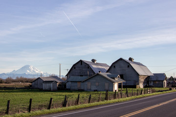 Twin Barns and Mt. Rainier