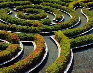 Spring Garden in California