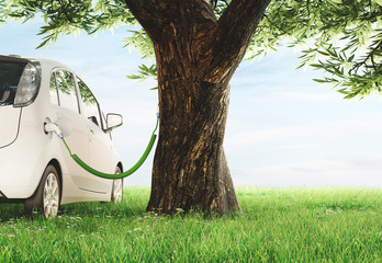 Automobile elettrica in carica con albero, sostenibilità - obrazy, fototapety, plakaty
