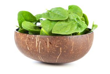 Baby spinach leaves