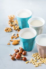 Assortment of organic vegan non diary milk from nuts