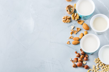 Assortment of organic vegan non diary milk from nuts