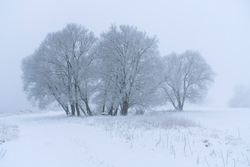 Snowy winter landscape with road and snow covered trees