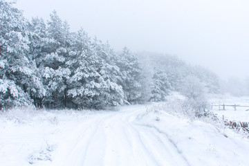 Snowy winter landscape with road and snow covered trees