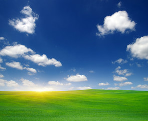 Fototapeta premium Green field and sun.