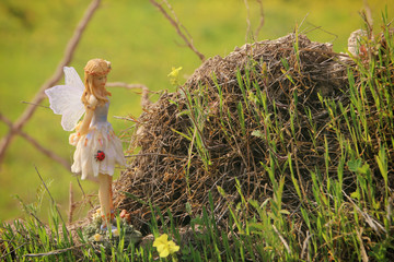 image of magical little fairy in the forest.
