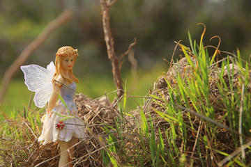 image of magical little fairy in the forest.