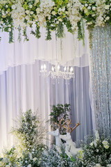 wedding flower decoration, flower backdrop background, rose wall, white rose