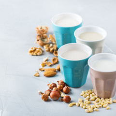 Assortment of organic vegan non diary milk from nuts