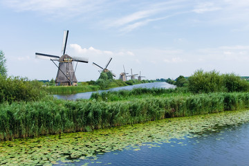 Classic windmills by the canal in Dutch village Kinderdijk in Holland. Landscape of famous tourist destination in Europe.