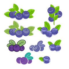 Blueberry icons big set. Different styles.