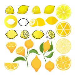 Lemon icons big set. Different styles.
