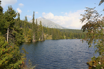 Beautiful landscape with mountain lake and forest