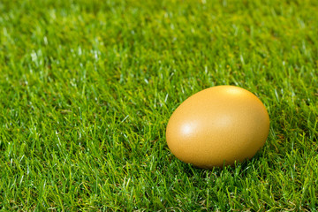 Eggs are placed on artificial grass.