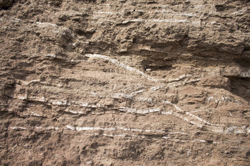 the texture of the stone