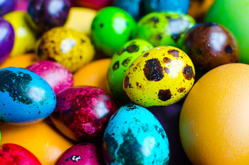 Fototapeta na wymiar Easter eggs. Chicken and quail eggs painted in different colors for the celebration of Easter.