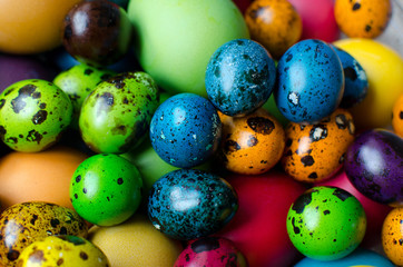 Fototapeta na wymiar Easter eggs. Chicken and quail eggs painted in different colors for the celebration of Easter.