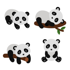 Fototapeta premium Adorable pandas in flat style.