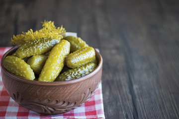 Pickled cucumbers on brown bowl. Pickles, traditional Russian snack.