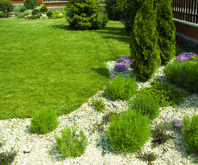 Obraz premium Detail of a botanical garden.