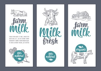 Template poster or label with cow and clover. Farm milk lettering