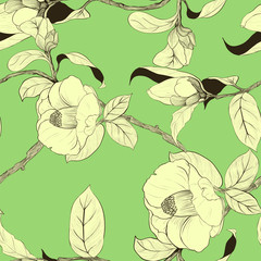 Vector background. Camellia - flowers and leaves. Seamless pattern. Perfumery and cosmetic plants. Wallpaper. Use printed materials, signs, posters, postcards, packaging. 