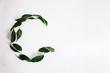 Letter G made of green leaves. Letter G shape on white background. Concept of preserving ecology...