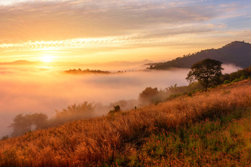 Landscape sea of misty in dawn morning sunrise time at phu lam duan, Loei province,Thailand