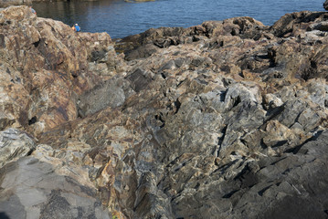 Maine Coast