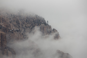 A distant pine tree shows through the fog on a Pine Valley Mountain in Southern Utah on a winter day.
