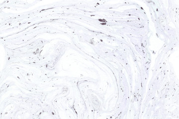 Marble paper texture. Abstract ink background.