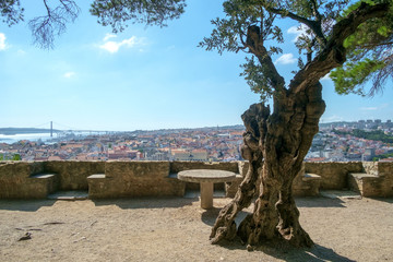 Lisbon Caste Terrace View