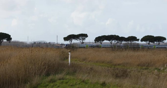 Treno a due piani regionale in transito in un anonimo paesaggio naturale