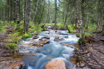 Mountain river in the forest