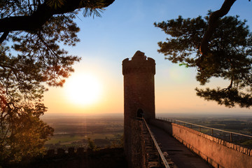 Fototapety na wymiar - Fototapeta24.pl