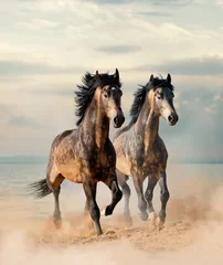 Fotobehang Two beautiful horses running by the sea © Mari_art