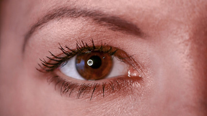 Obraz premium Open female eye in close up