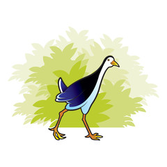 water hen walking over green tree bush vector cartoon 