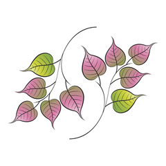 branch with bo tree leaves vector illustration