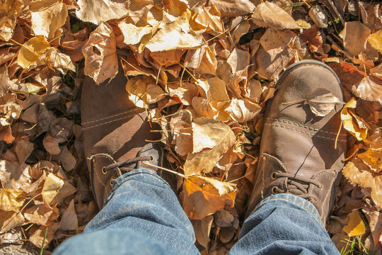 zapatos pisando hojas en bosque