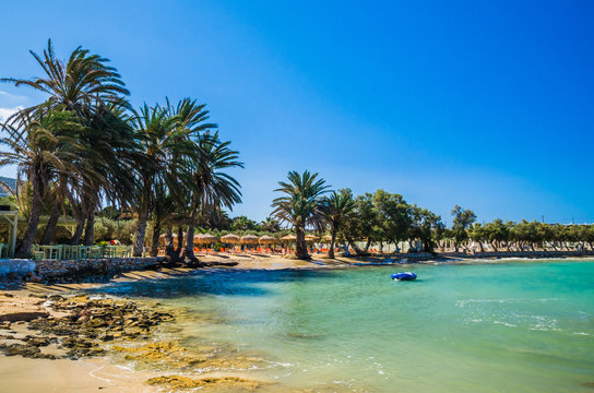 Agia Irini beach, Paros island, Greece. Beautiful greek beach with palms in Cyclades Islands