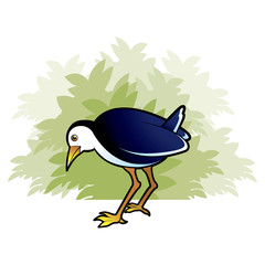 water hen searching over tree bush vector cartoon