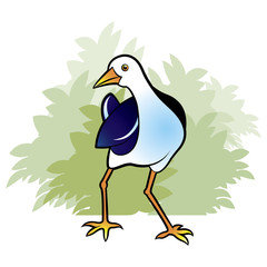water hen walking and  looking vector cartoon