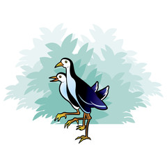 two water hens walking over blue bush tree vector cartoon