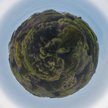 Tiny planet of forest in sunny day. Small earth sphere photo above trees, grass and green bushes.
