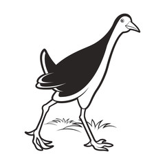 black and white water hen walking vector cartoon