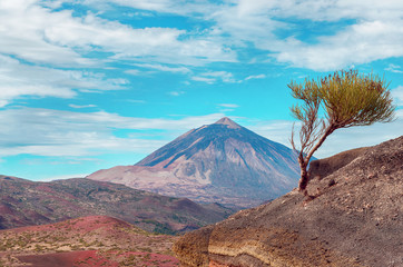 Volcano  El Teide  in The National Park of Las Canadas del Teide. Best place to visit in Tenerife...