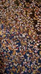colorful autumn fall leaves over the water yellow orange red brown