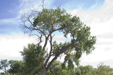 Along the Rio Grande